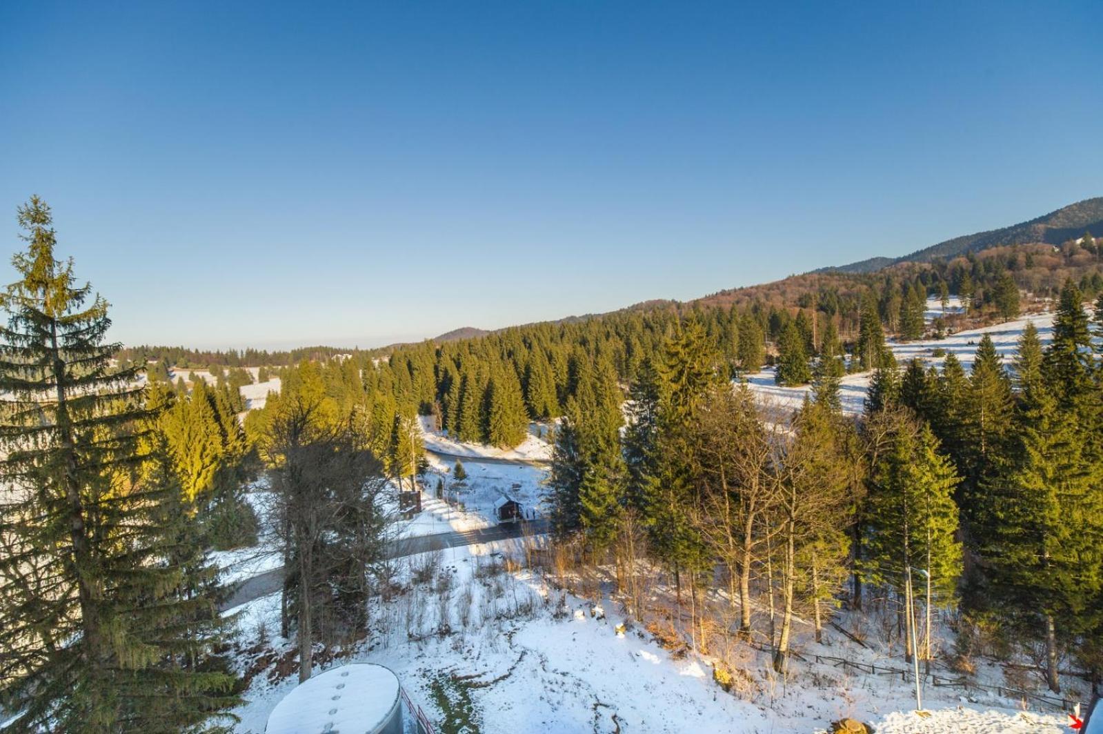 Pine Woods Apartment A43 In Silver Mountain Пояна Брашов Екстериор снимка