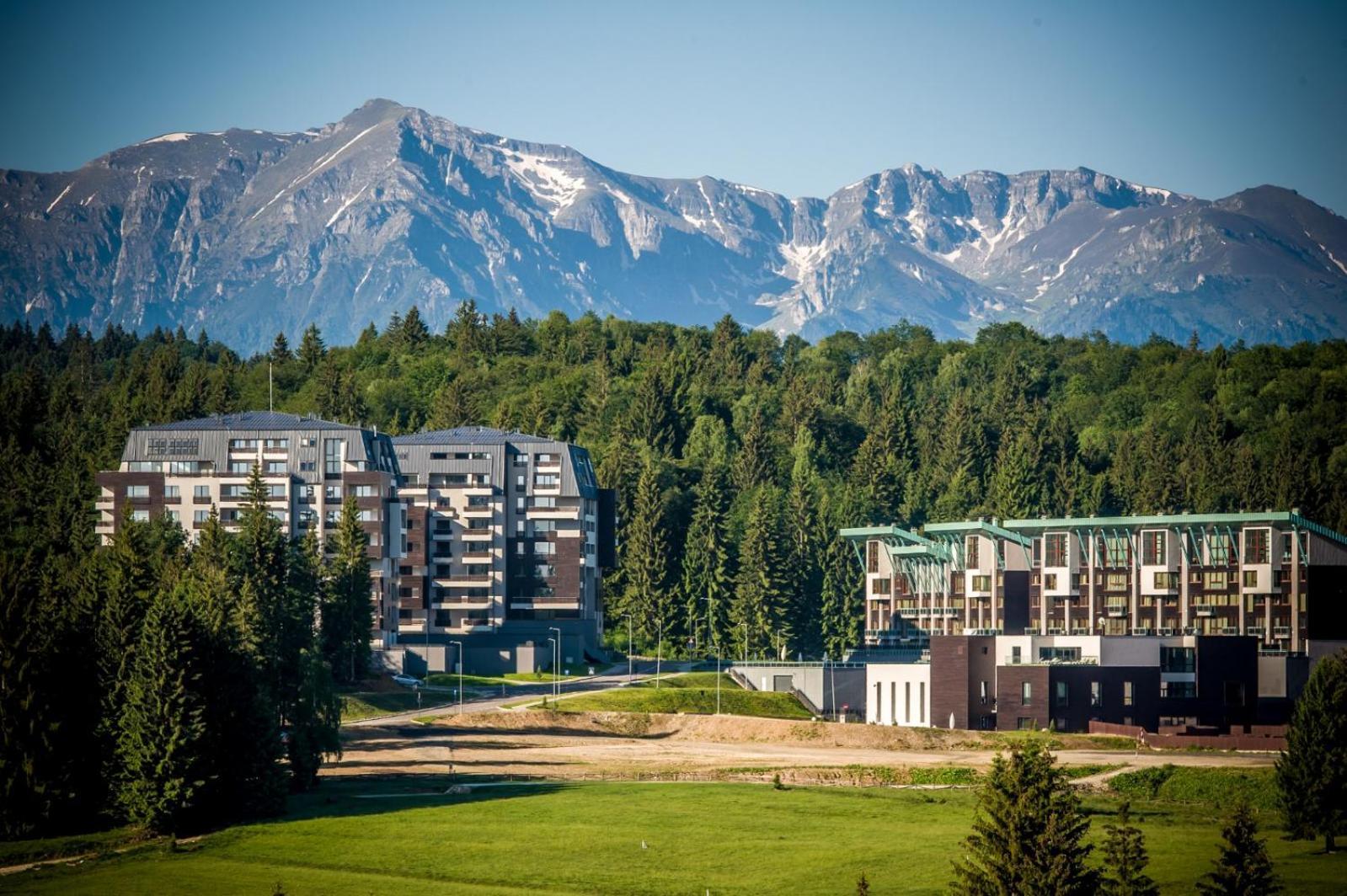 Pine Woods Apartment A43 In Silver Mountain Пояна Брашов Екстериор снимка